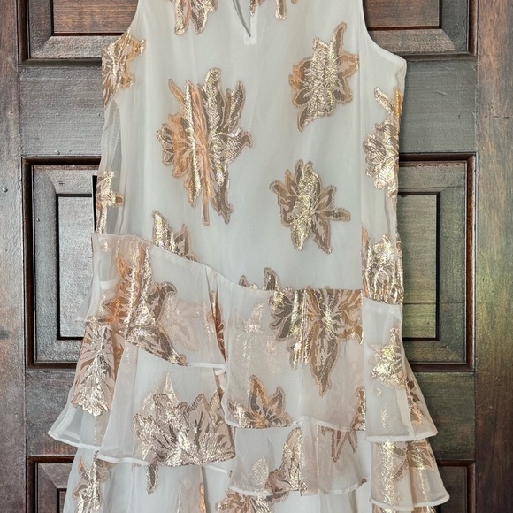 Elegant Flapper Style EXPRESS Mini Dress - Picture 5 of 5